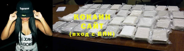 сатива Балахна