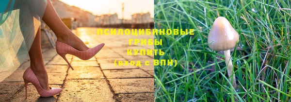 ГАЛЛЮЦИНОГЕННЫЕ ГРИБЫ Балабаново