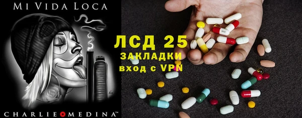 сатива Балахна