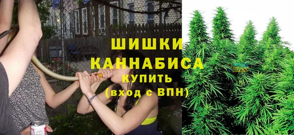 сатива Балахна