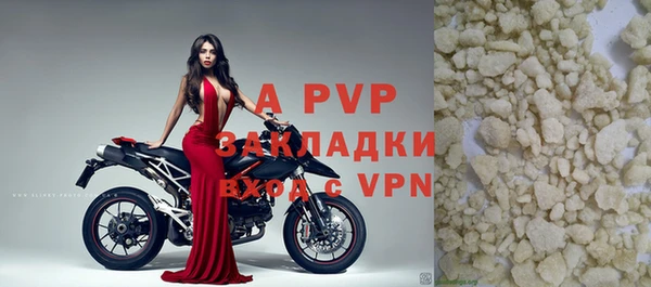 сатива Балахна